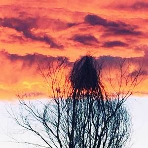 Meet your Posher, Lee